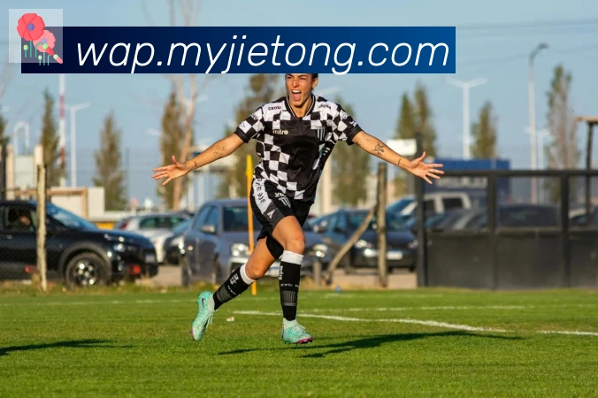 乐语网页版登录入口荣誉