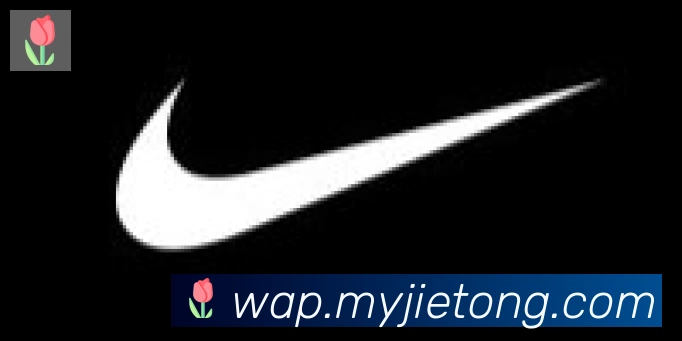 乐语网页版登录入口合作伙伴